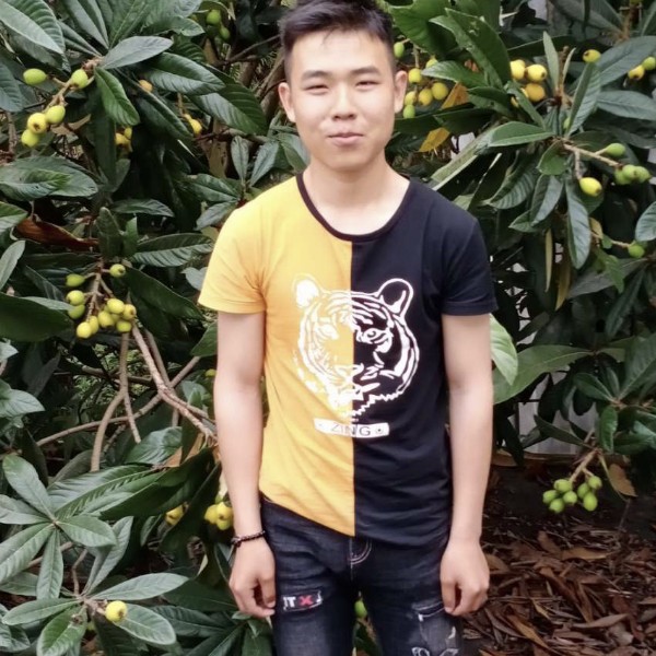 凶狠保卫抽屉的照片