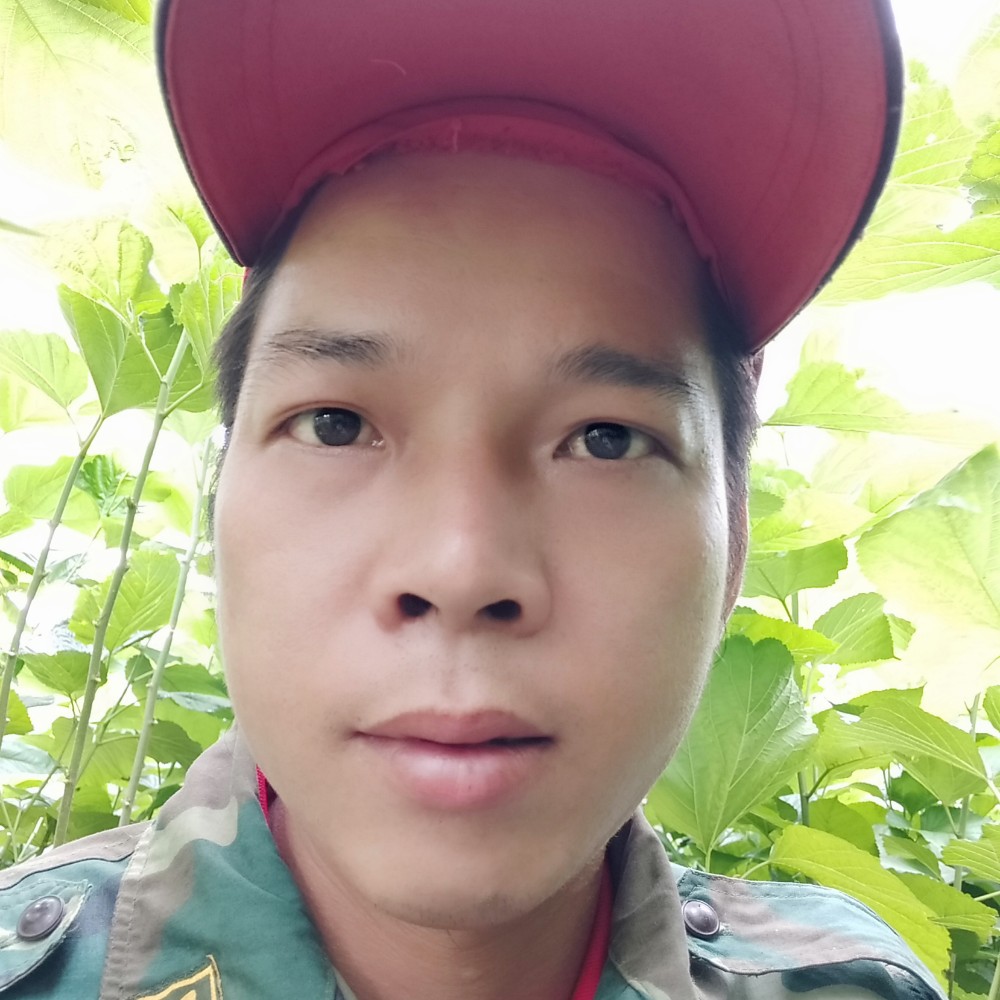 虚心方冰棍的照片