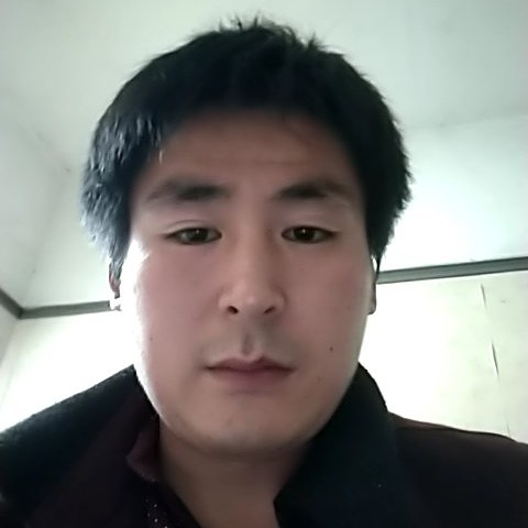 树叶那疯狂的照片