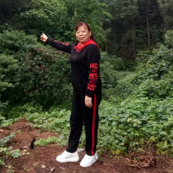 旧颜的鲤鱼的照片