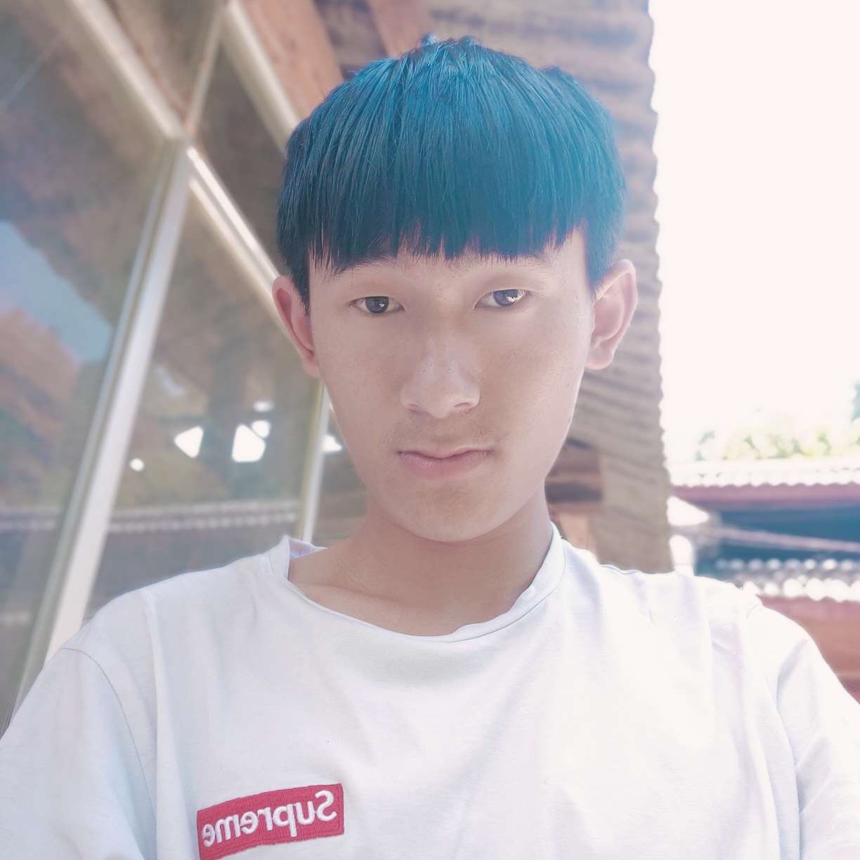 正直还心岛的照片