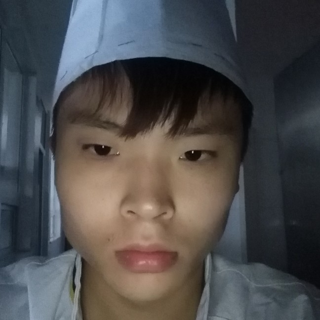 半夏迅速的照片
