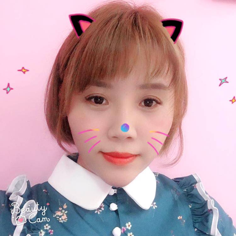小菜苗的照片