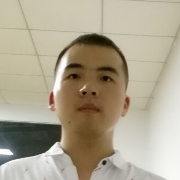 斑马标致的照片