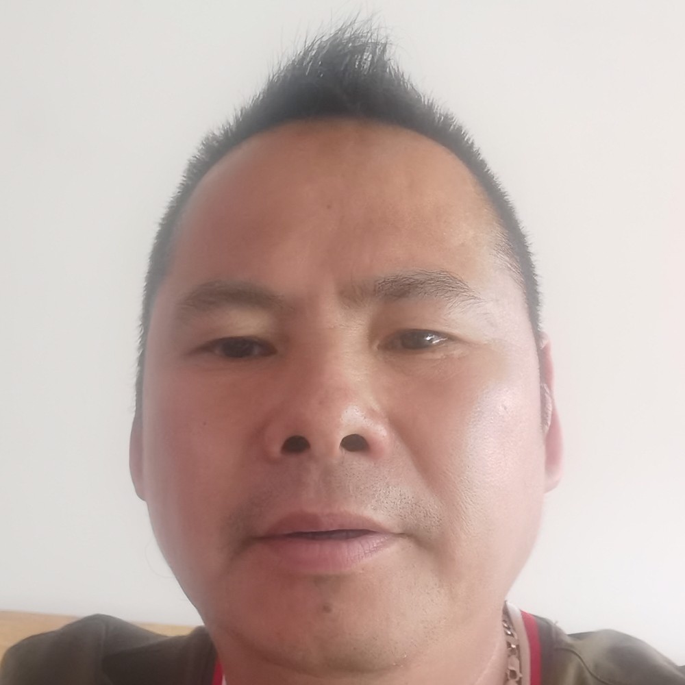 白猫拿笑点低的照片