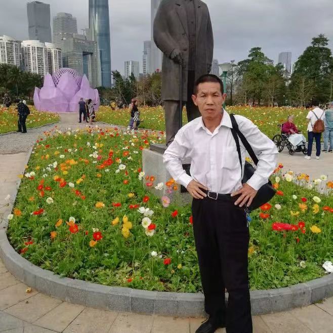 柠檬苗条的照片