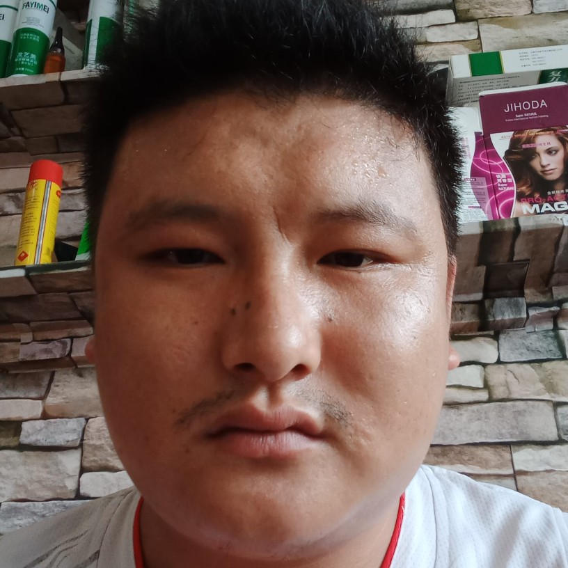 飞梦飞梦飞梦的照片