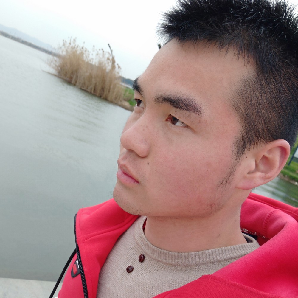 愤怒的麻雀的照片