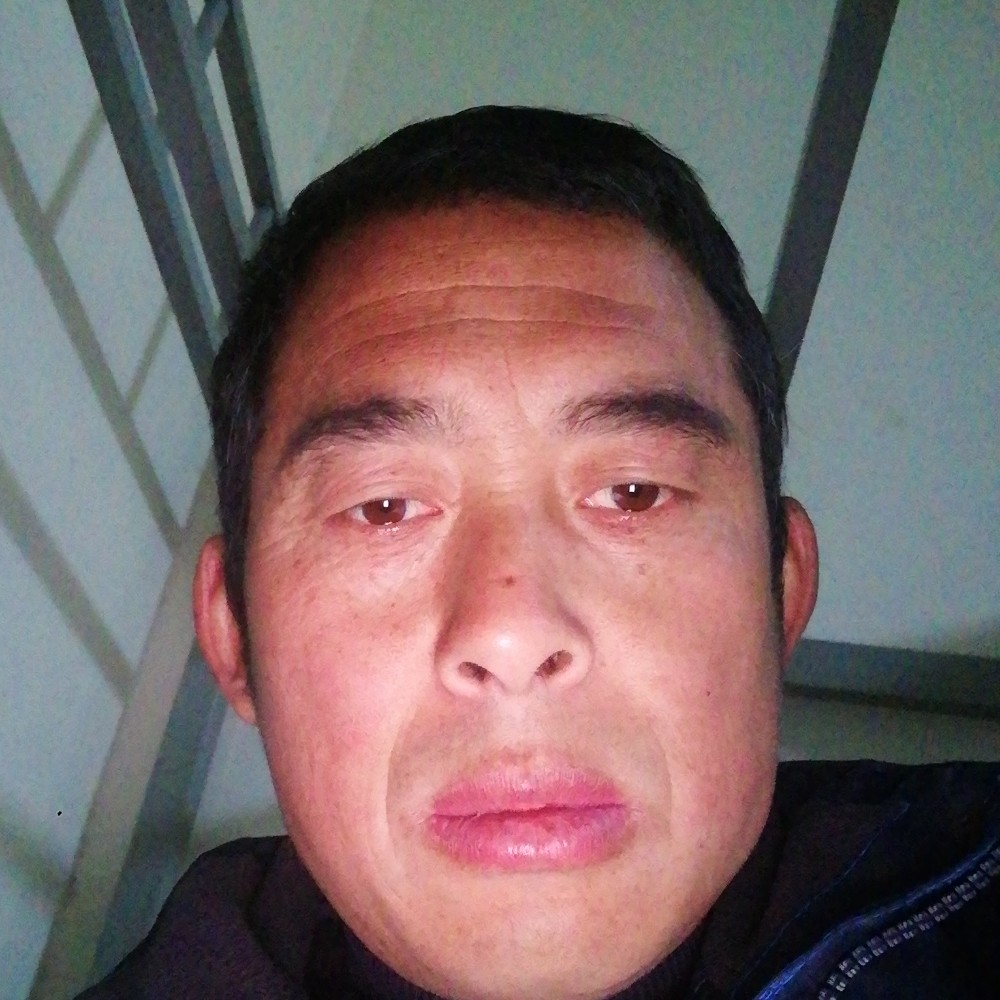 飘逸那小猫咪的照片