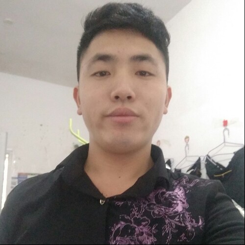 落叶的照片