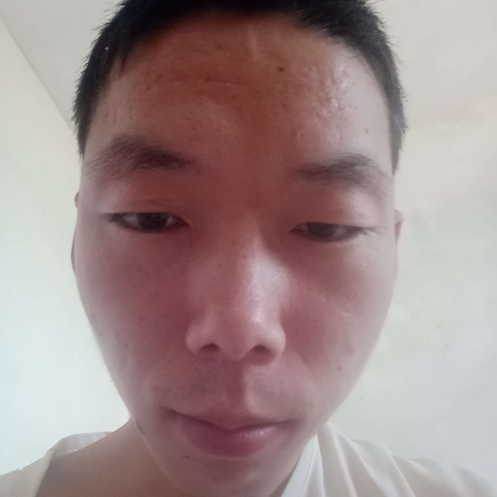 风中相许绿草的照片