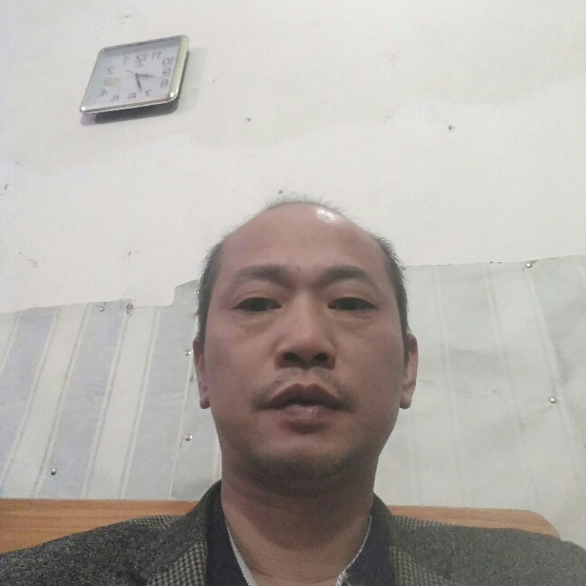 安静黄豆的照片