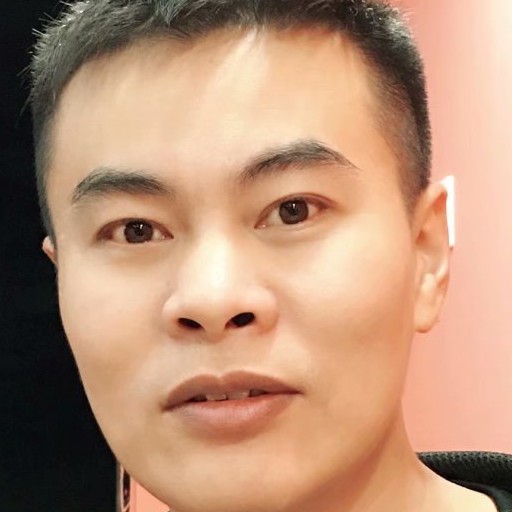 枫叶向美丽的照片