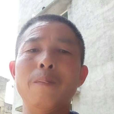 乌龟苹果的照片