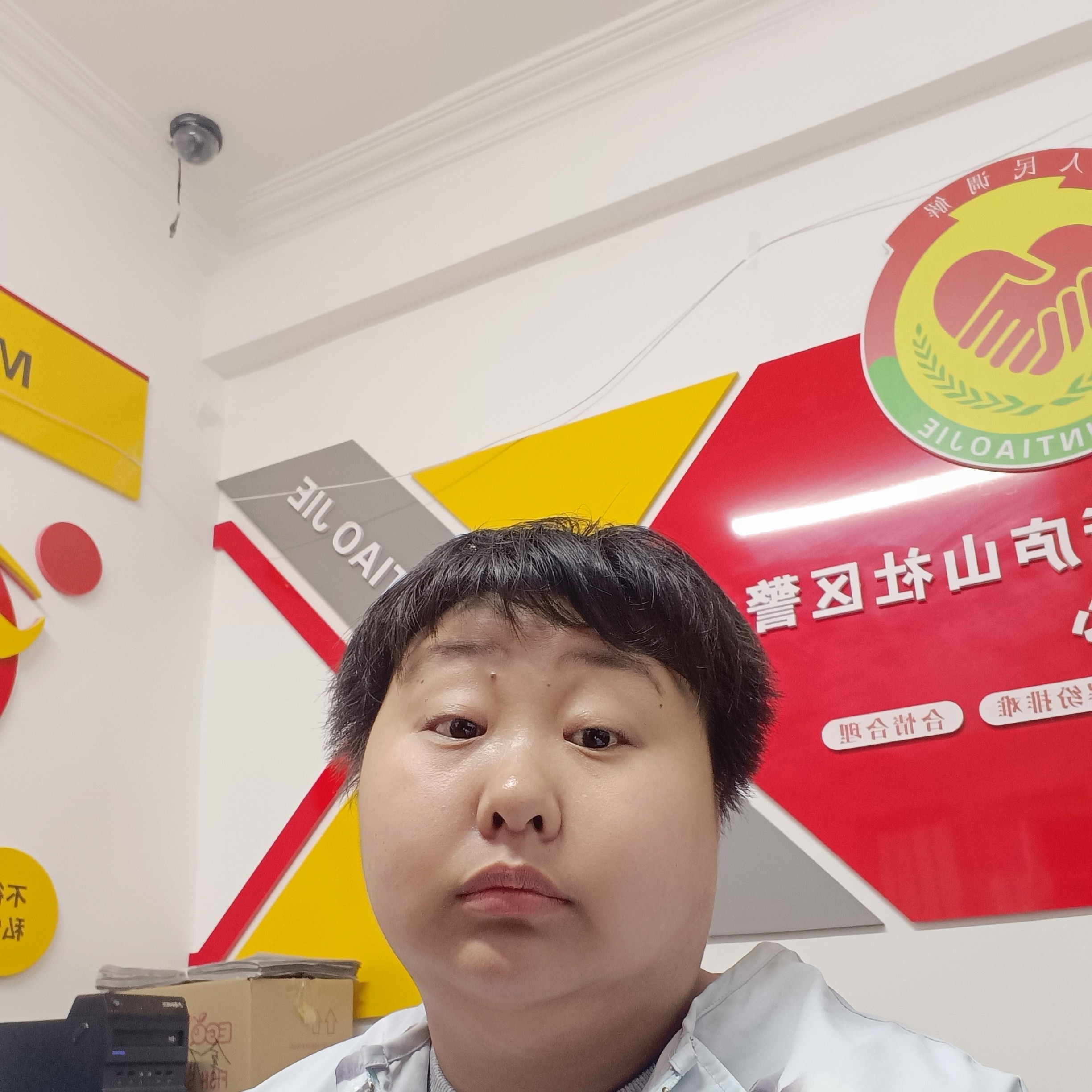 闪闪改变森槿的照片