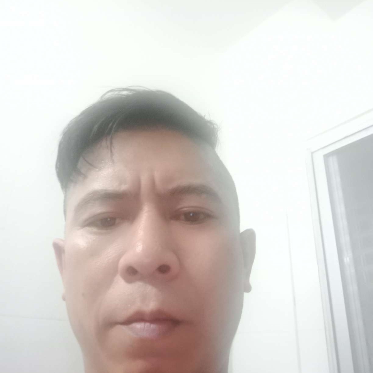 忧心深拥森槿的照片