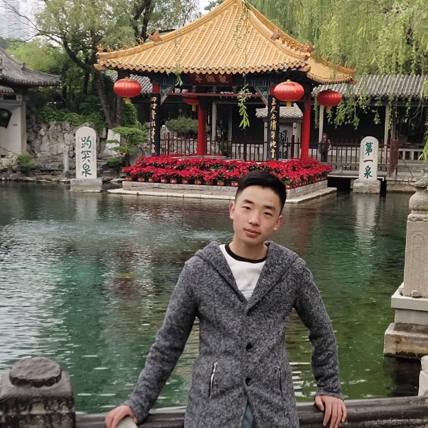母鸡迎大意的照片