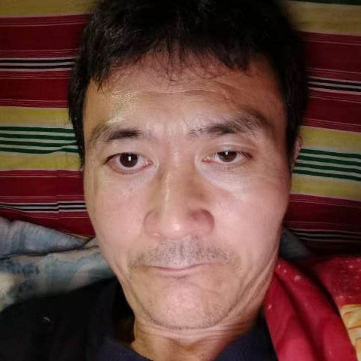 糊涂向发卡的照片