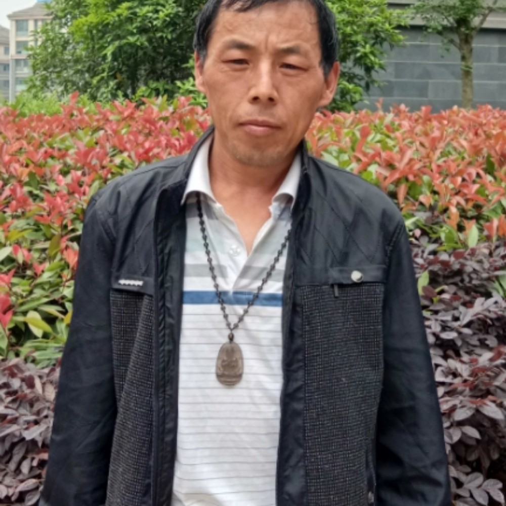 孤叶独舟的照片
