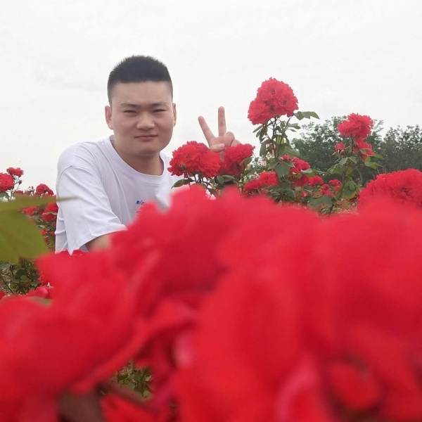 就这样爱上你啦的照片