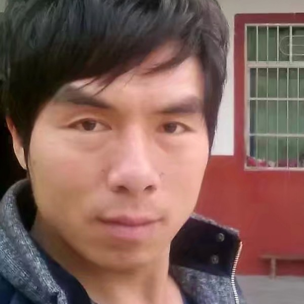 粗心回眸刺猬的照片