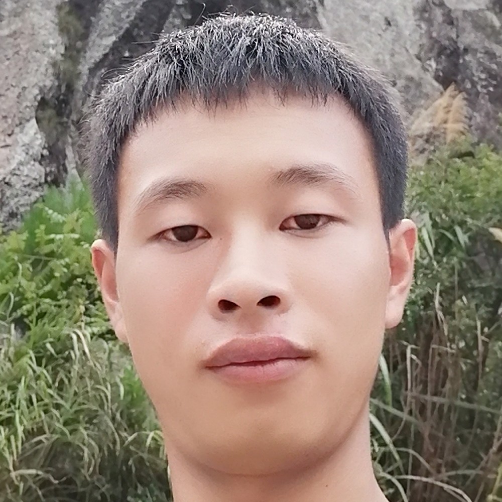 承诺都苍白的可笑的照片