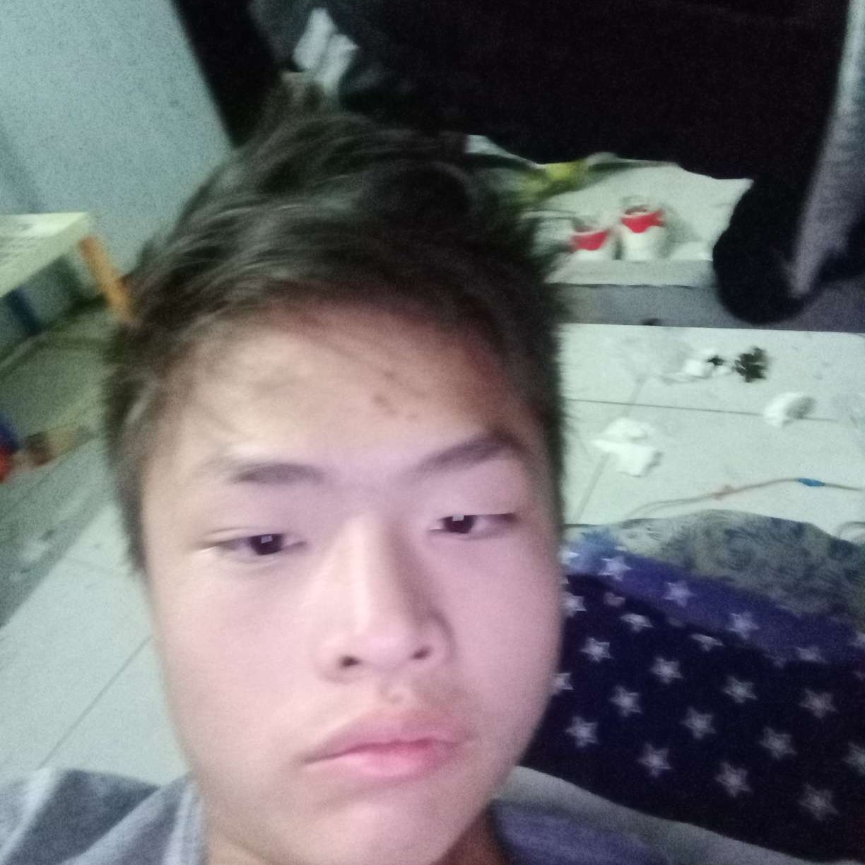 红牛蹁跹顺利的照片