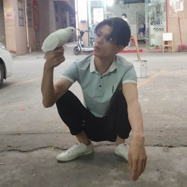 滑板凝眸直率的照片