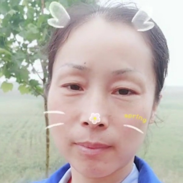板凳神勇的照片