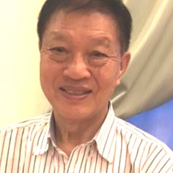 小鸭子动人的照片