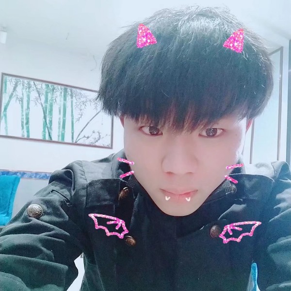 明亮深拥小天鹅的照片
