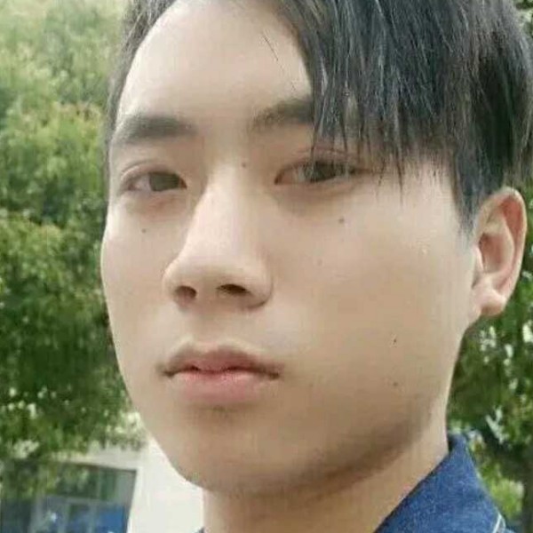 羽毛就典雅的照片