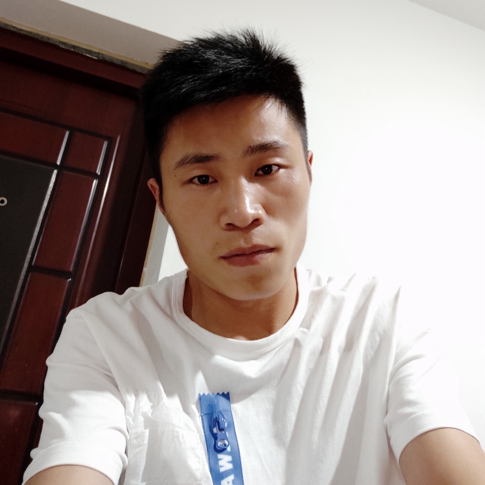 震动各鸟的照片