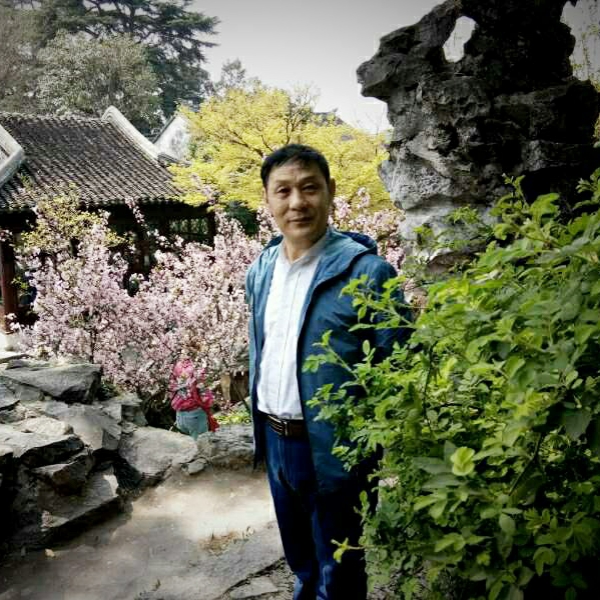 含羞草飘逸的照片