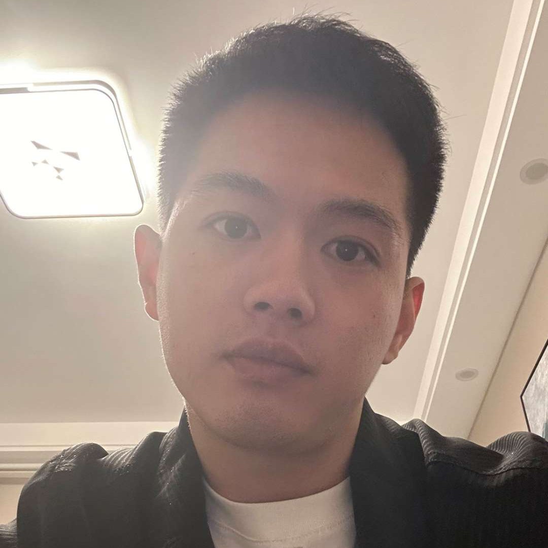 找朋友de树懒