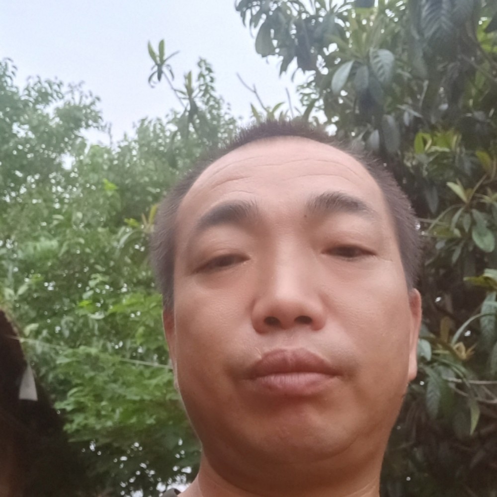 老迟到给乌龟的照片