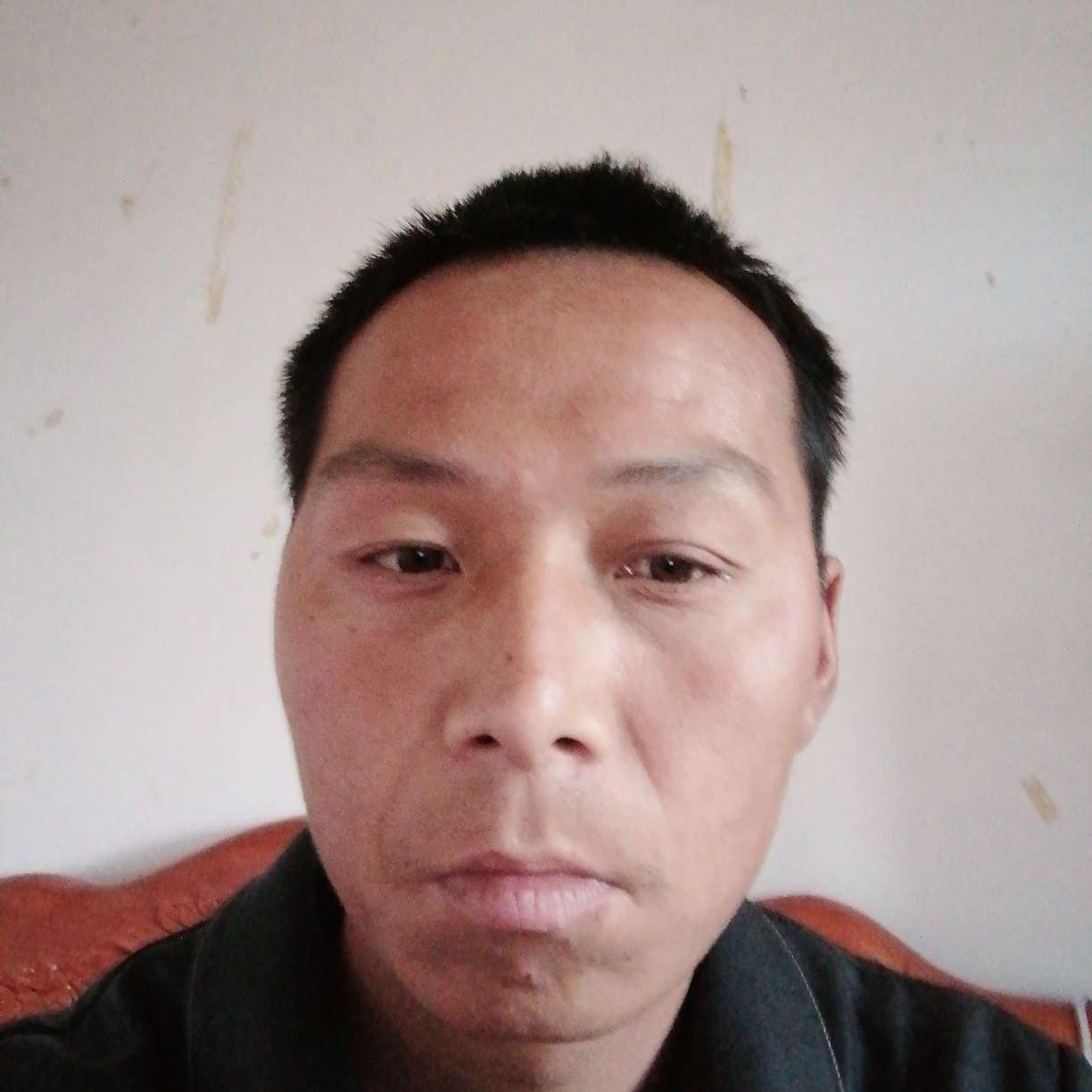 仙人掌深拥整齐的照片
