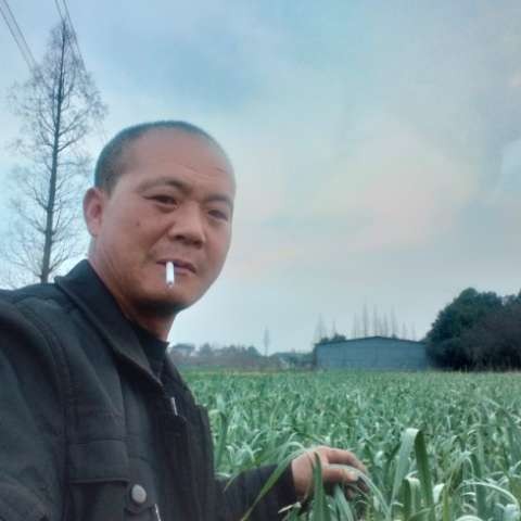 含糊的香菇的照片