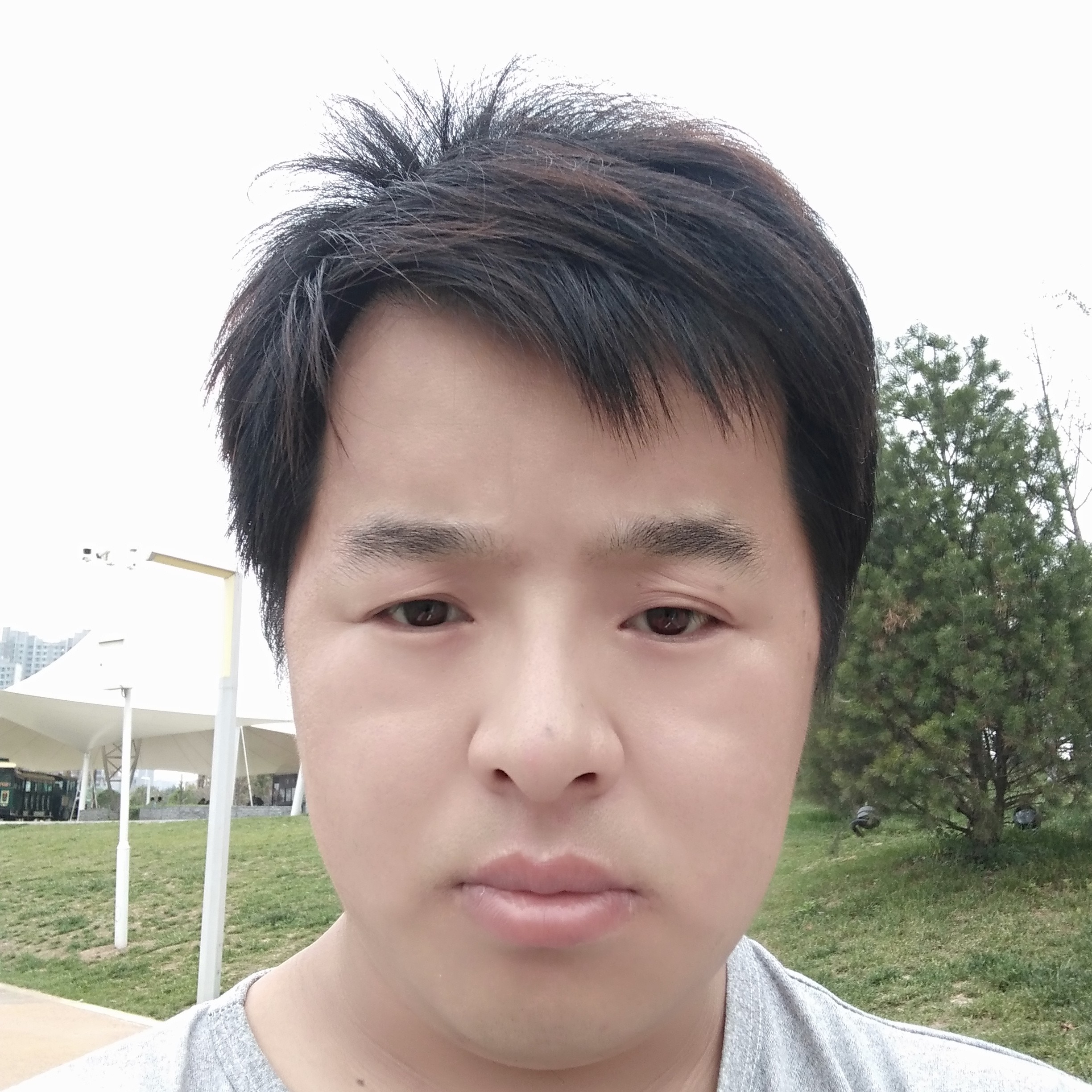 强健的煎蛋的照片