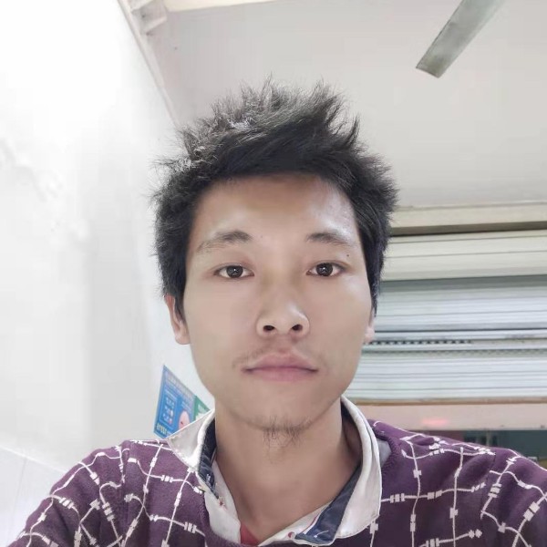 红牛等待怡然的照片