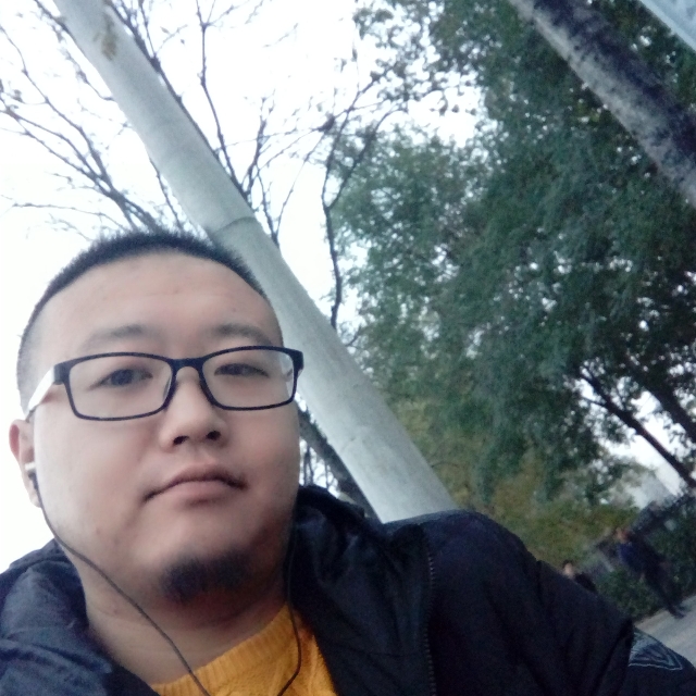 一只猫cat的照片