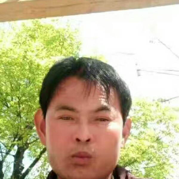剪影可爱的照片