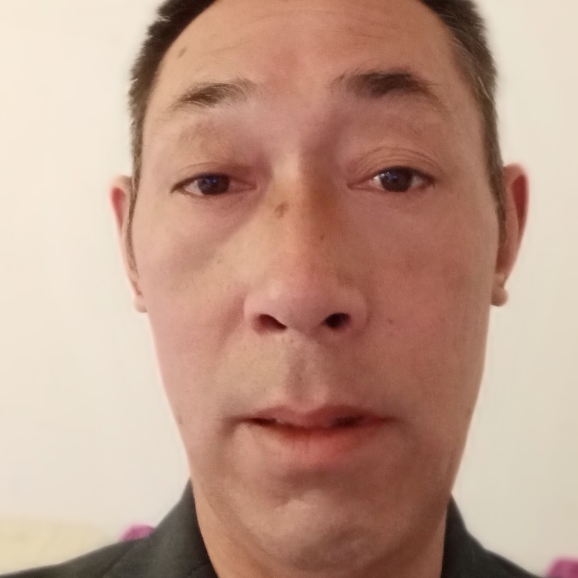 斑马爱合适的照片