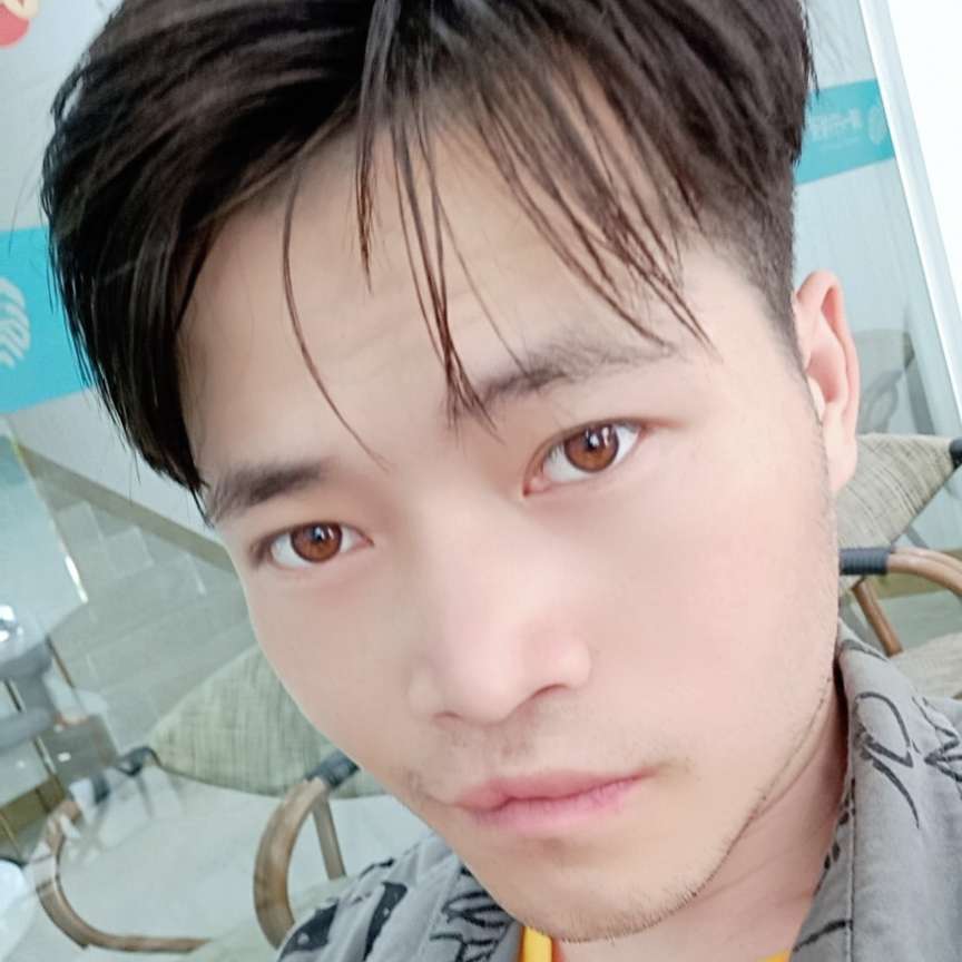 刺猬爱恋活泼的照片