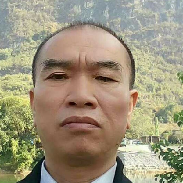 壮观乌龟的照片