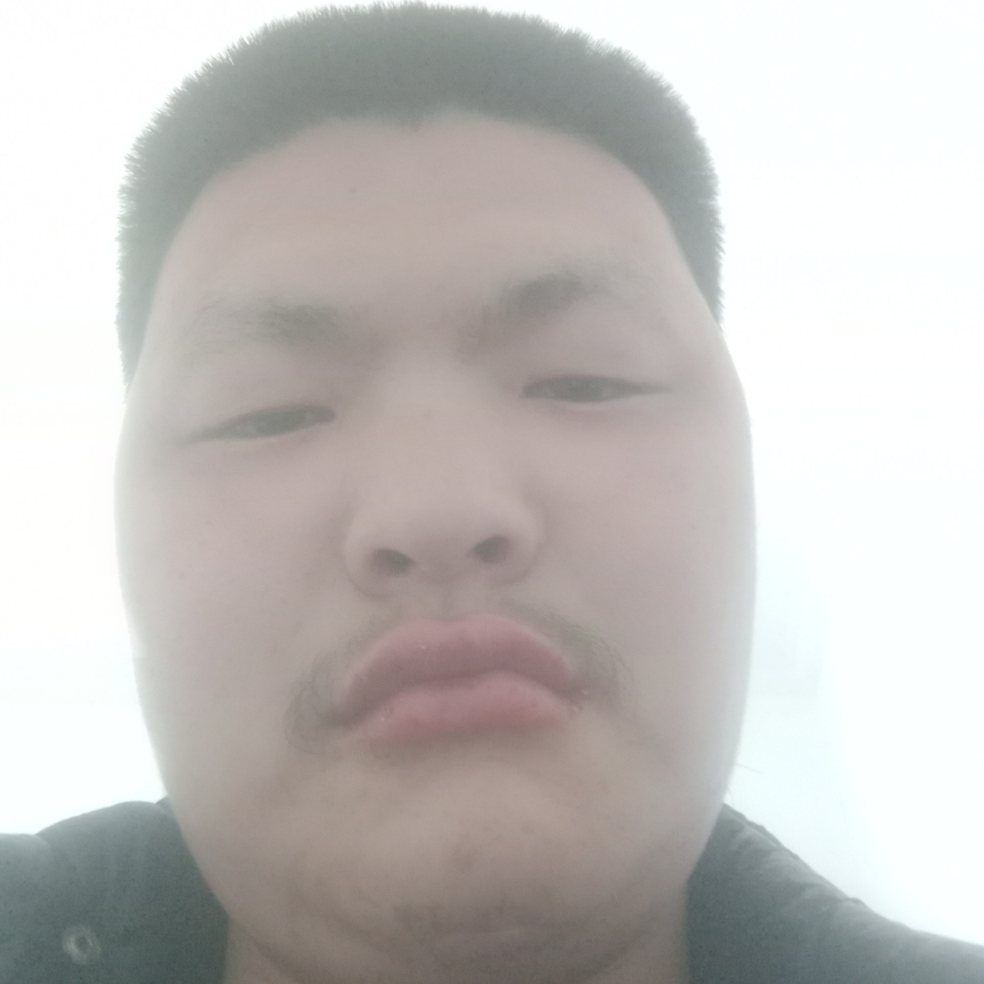 棒球秀丽的照片