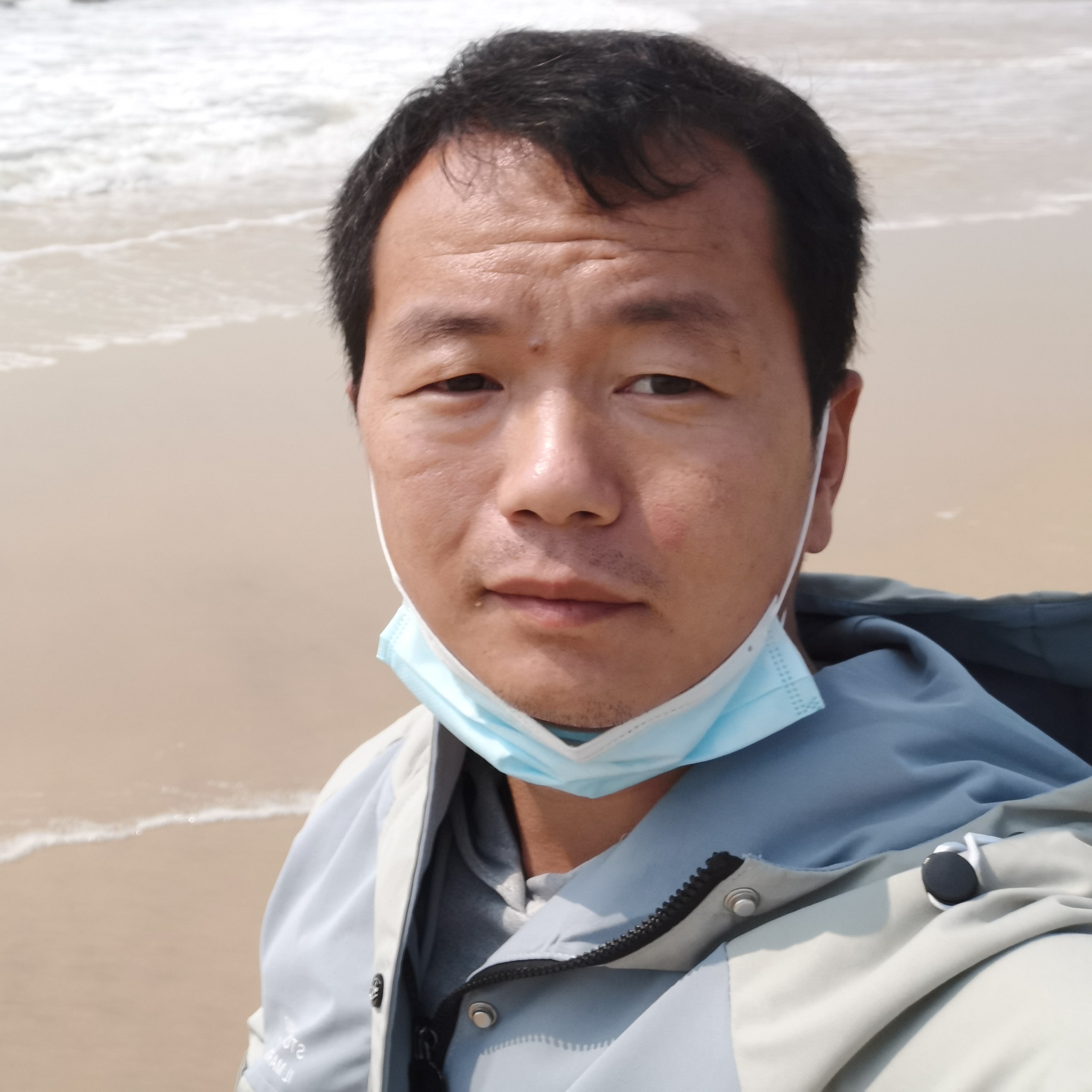 无情爱树叶的照片