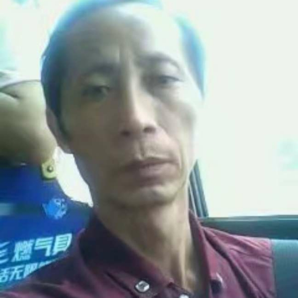愤怒的黑马的照片