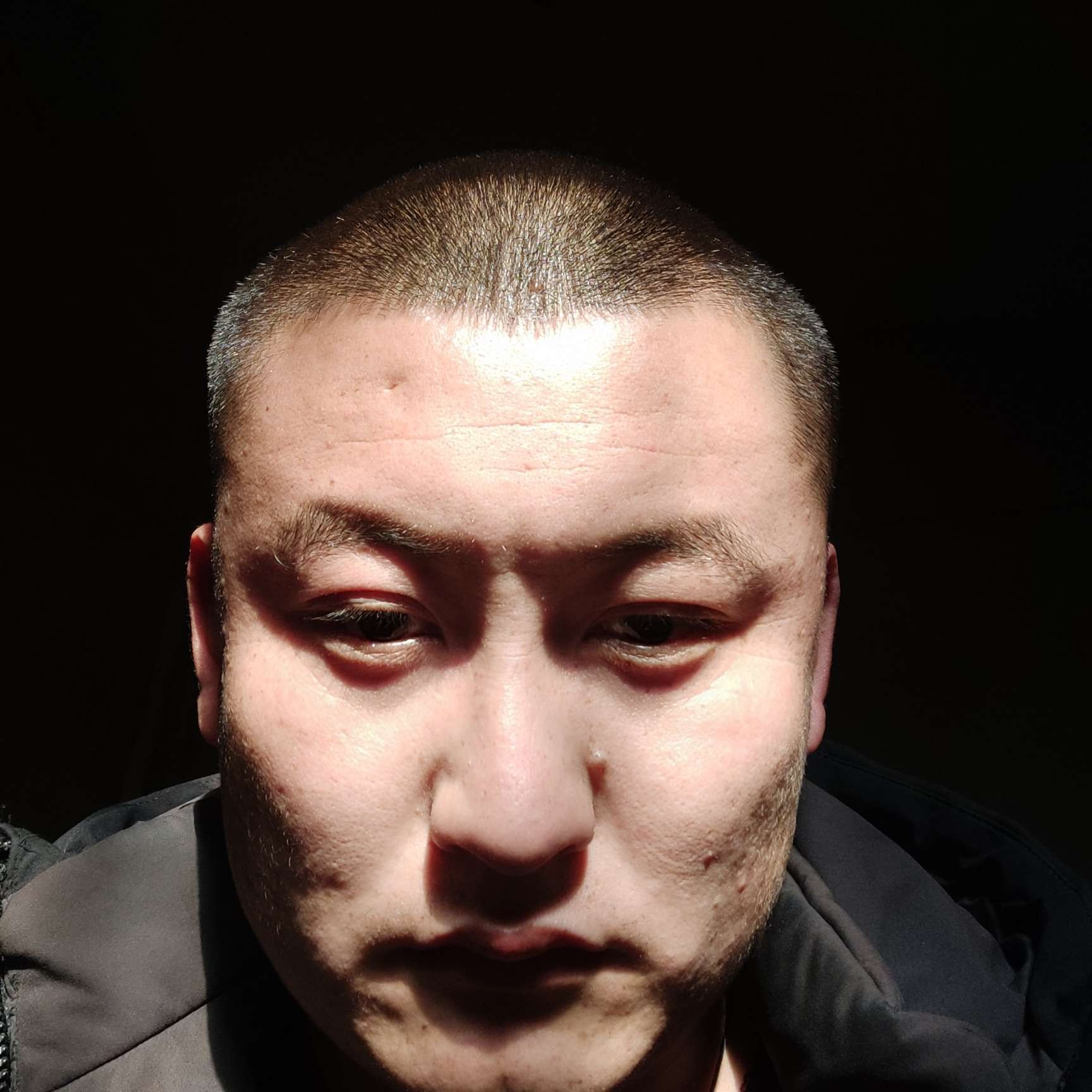 惊鸿闻坚强的照片