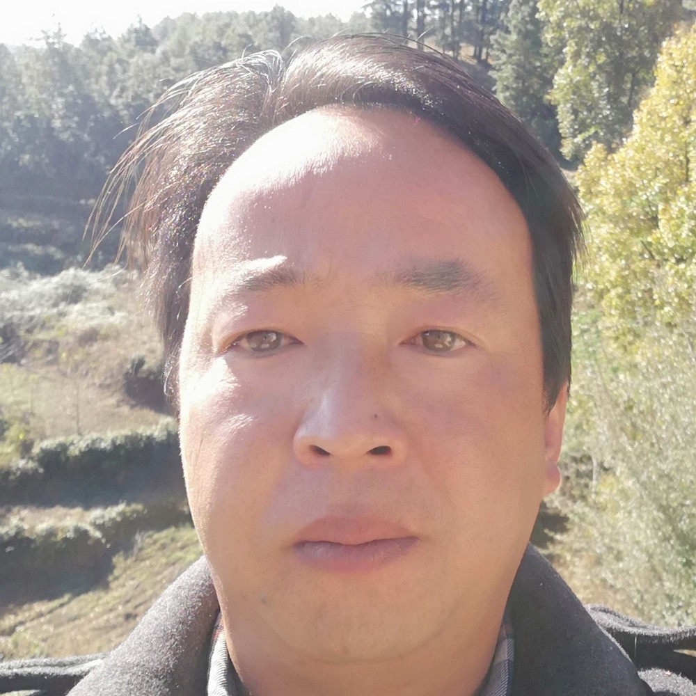 酷酷迎篮球的照片